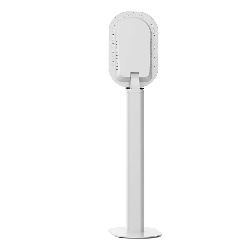 Arzzuca V