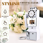Retro Video Guestbook | Retro Phone Video Message Station for Event Operators - DJ And Photo Booth Supply